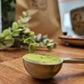 Matcha Starter Kit