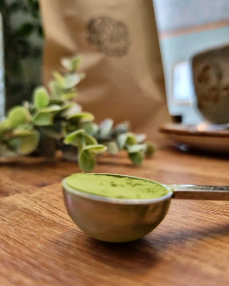 Matcha Starter Kit