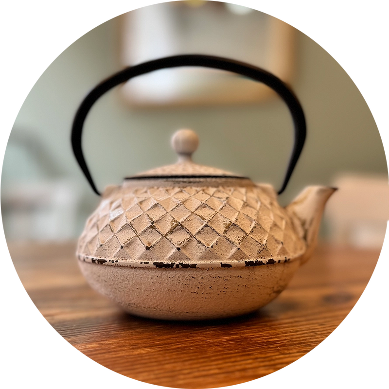 Japanese Cast Iron Teapot