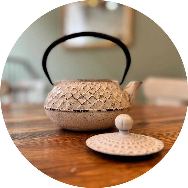 Japanese Cast Iron Teapot